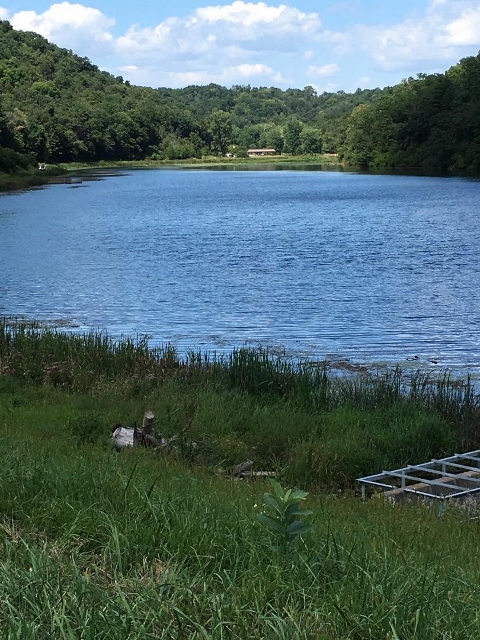 Small Lake in the Driftless