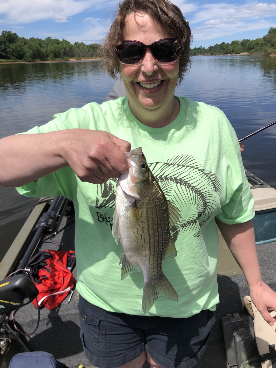 Wisconsin River Whitebass