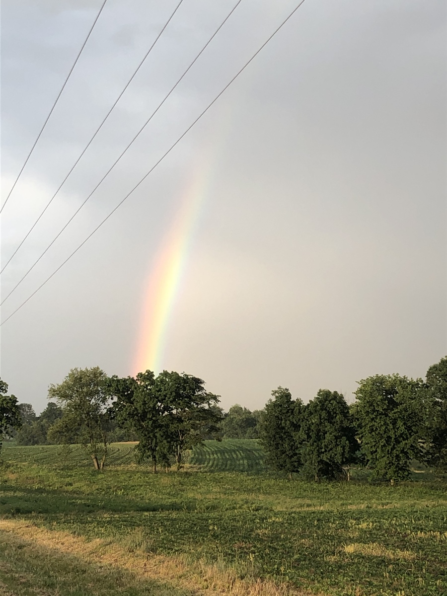 Rainbow in the Driftless