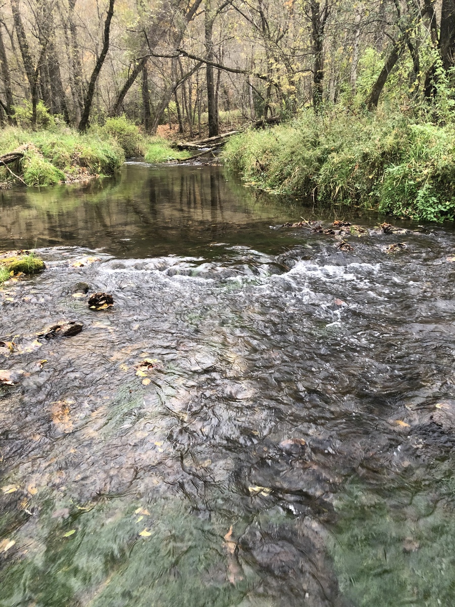 Fall Trout Fishing