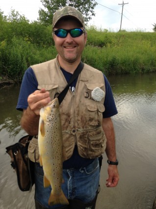 Brown Trout