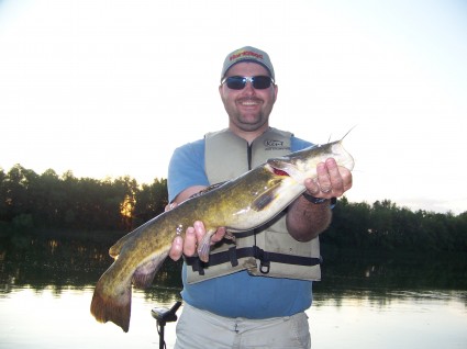 Flathead Catfish