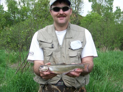 Brook Trout