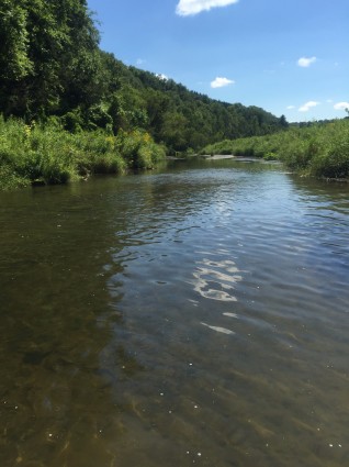 Class 1 Trout Stream