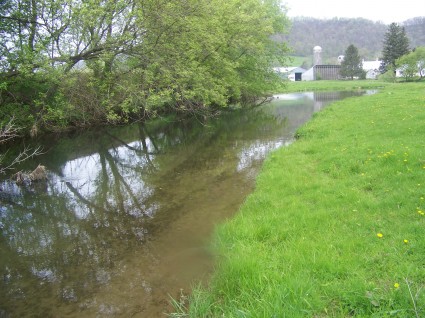 Meandering Stream