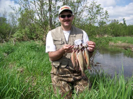 Limit of Brook Trout